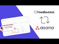 Turn website feedback and bug reports into Asana tasks