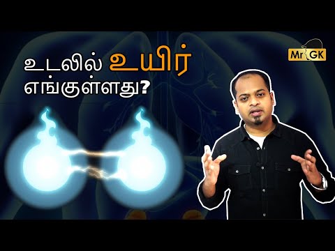 உடலில் உயிர் எங்குள்ளது? | Mr.GK