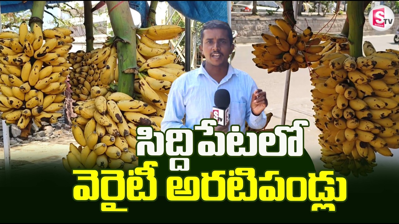 సిద్దిపేటలో వెరైటీ అరటి పండ్లు  | Andhra Special Banana's | Siddipet | @SumanTVRythu