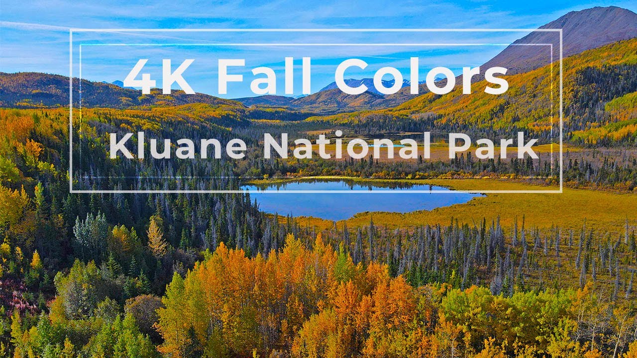 4K Fly Over Canada/ Fall colors ,bear and salmon Kluane national park Yukon Northern BC/mavic air 2