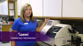 Element DC Veterinary Chemistry Analyzer