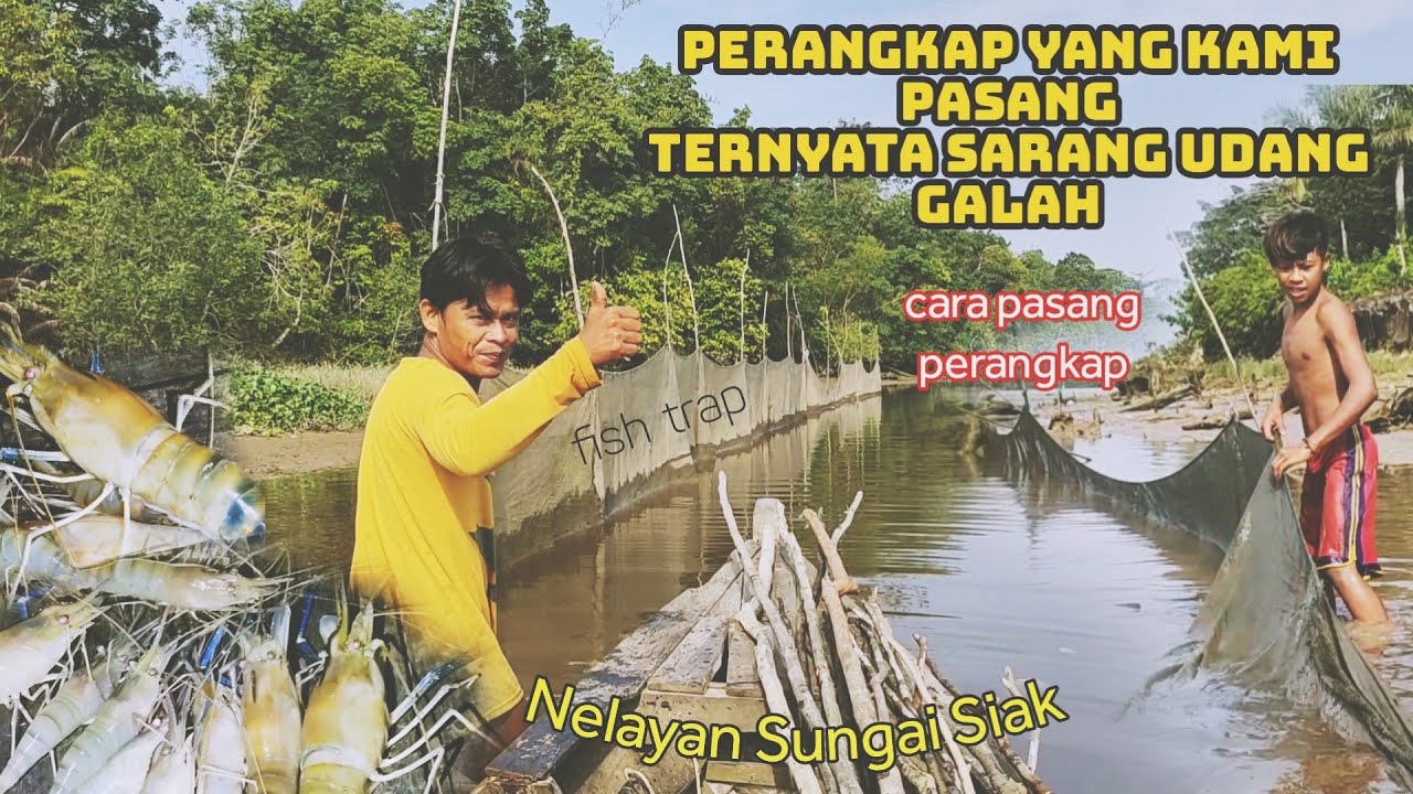 PERANGKAP IKAN RAKSASA NELAYAN SUNGAI SIAK ||LIHAT HASILNYA...!!!  #fhising