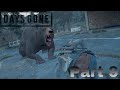 Days Gone ps4 walkthrough part 9