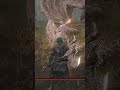 What is this? 🤣 #eldenring #shortsfeed #gaming #viral #eldenringgameplay #funny