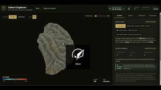 Datahub Brainzzzz