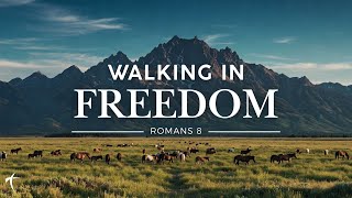 Walking in Freedom (week 1)