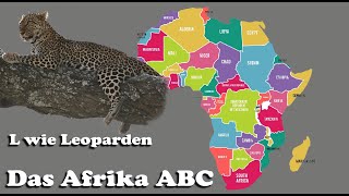 Afrika ABC, L wie Leoparden