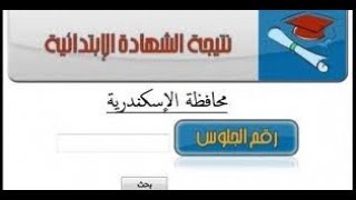 نتيجة الشهادة الابتدائية محافظة الاسكندرية  2019