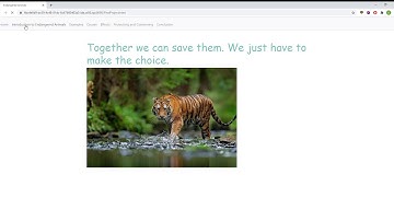 CS50 Final Project Explanation