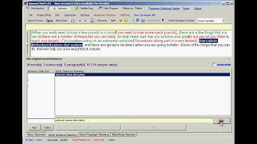 SpinnerChief Tutorial   Quick Sentence Rewrite
