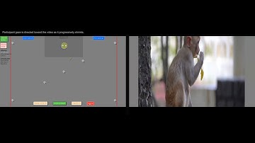 Demo of automated calibration procedure for nonhuman primates