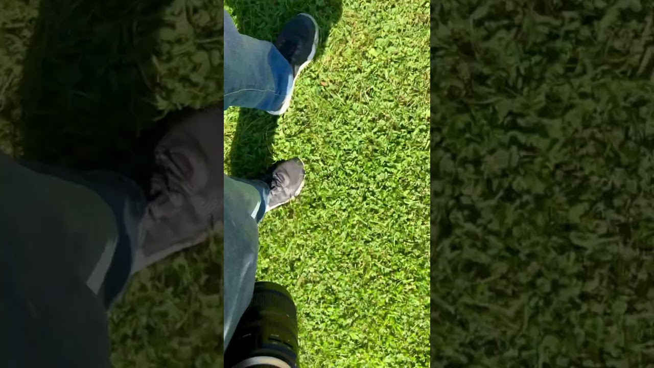 Peak Design Belt Clip System 