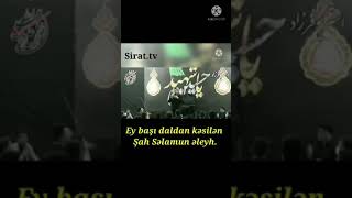 Ey başı daldan kəsilən şah salamun əleyh. Resimi