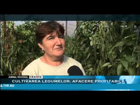 Video: Cultivarea Legumelor Este O Afacere Profitabilă?