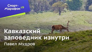 Кавказский заповедник изнутри. Павел Мудров