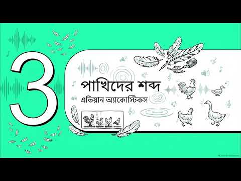 অ্যাকোস্টিক ইকোসিস্টেম by Big Bang