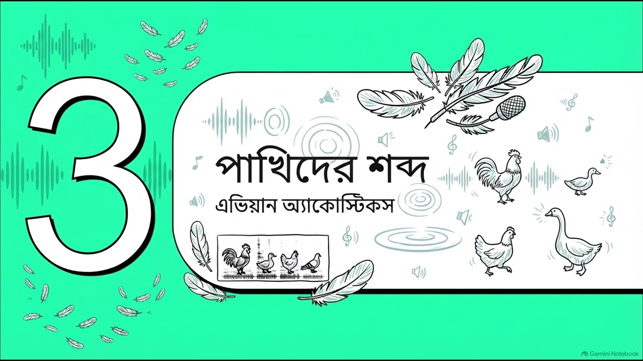 অ্যাকোস্টিক ইকোসিস্টেম by Big Bang