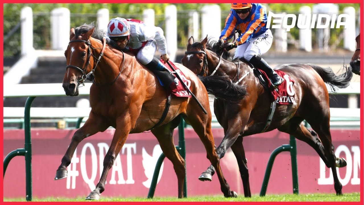 QATAR PRIX VERMEILLE 2021 | Teona | ParisLongchamp | Groupe 1