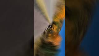 Highway 67 - Cripple Creek, CO #fallcolors