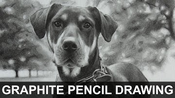 Fern | Realistic Graphite Pencil Drawing | Timelapse Video