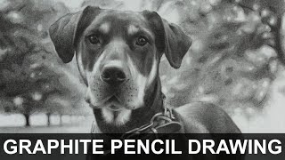 Fern | Realistic Graphite Pencil Drawing | Timelapse Video