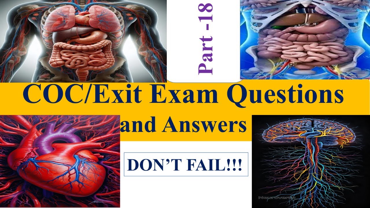How to Pass Your Nursing Exams (Tips & Strategies!)