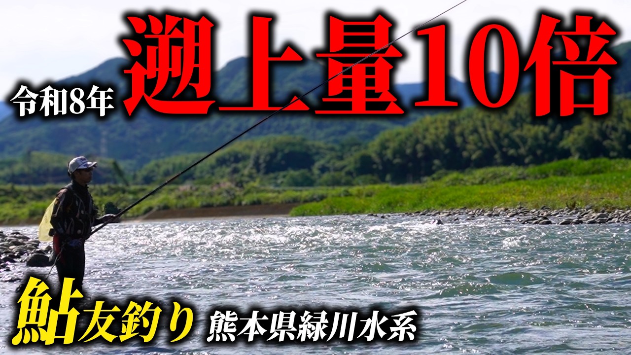 2026年緑川は稚鮎の遡上量が昨年の10倍!?という事で「ヤマツリ鮎調査隊