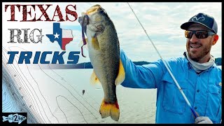 5 Tips to Catch More Bass Using TexasRigged Worms