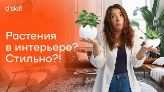 Как использовать комнатные растения в декоре? 4 популярных стиля использования растений в интерьере