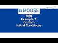 15 MOOSE算例7 Custom Initial Conditions
