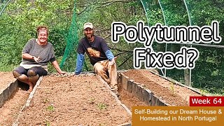 Polytunnel SETUP & CHEAP FIX for Summer 🌞