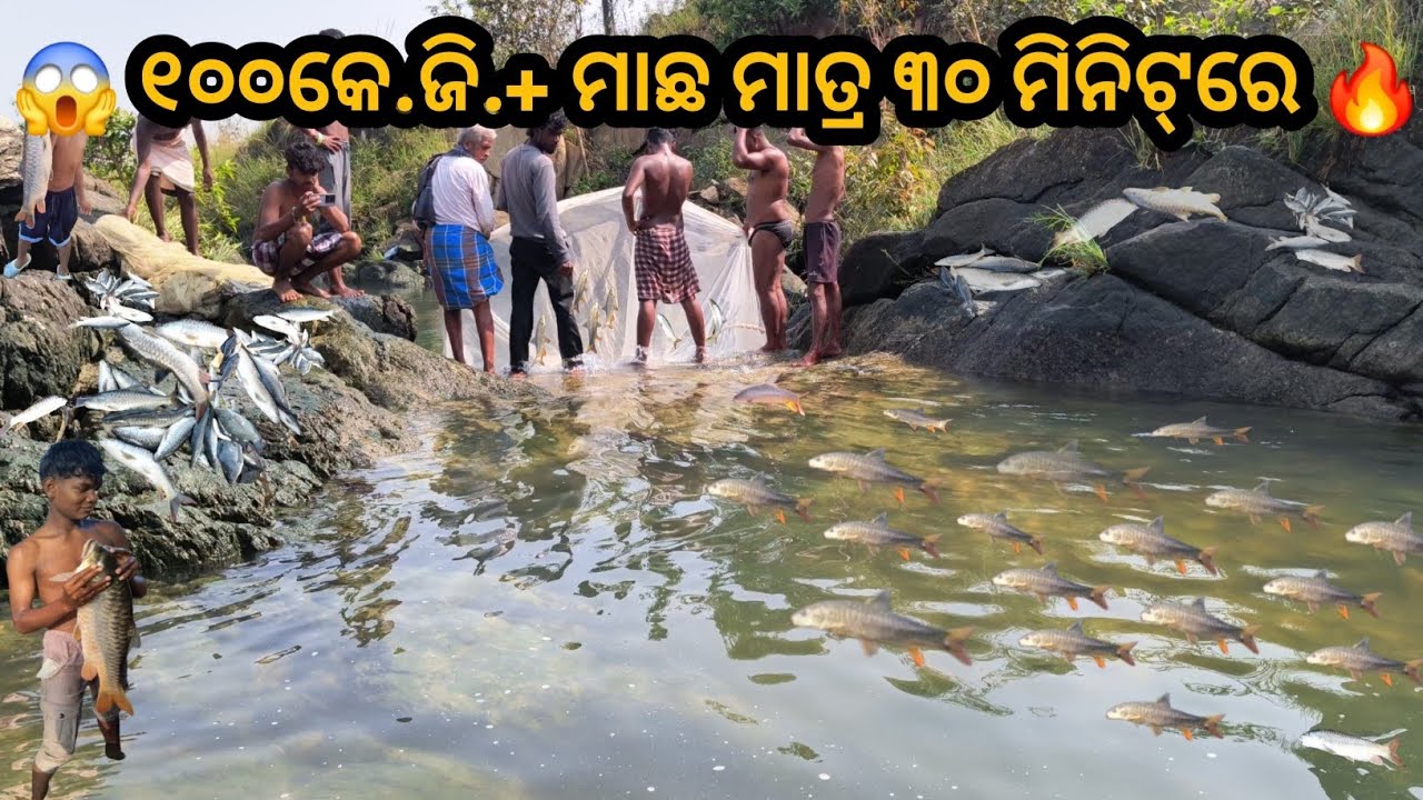 🎣इतना कम समय में इतनी मछलियाँ पकड़ ली कि यकीन ही नहीं करोगे!😱|| fishing videos || hirakudDam fishing