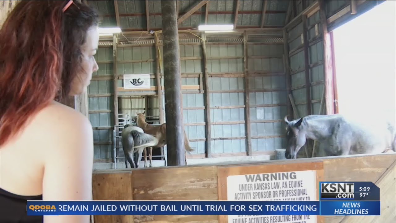 New equine mental health therapy in Topeka