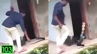 Hài Tin Viet 2021 Mới Nhất Những Thằng Ngu Nhất Hành Tinh Cười Vỡ Bụng P103