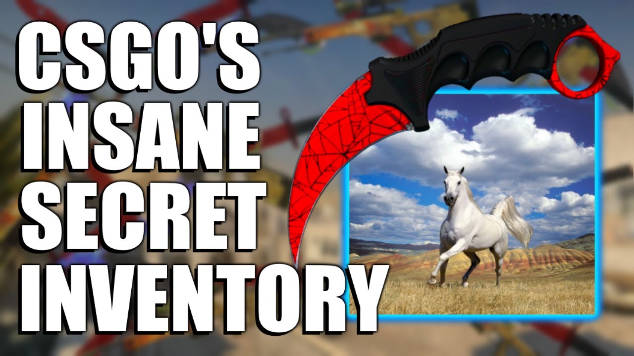 The MOST EXPENSIVE CS:GO INVENTORY EVER!! | TDM_Heyzeus