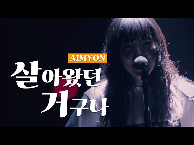 무조건 가사 알고 들어야 하는 노래🎵「아이묭(AIMYON) - 살아왔던 거구나 라이브」가사/해석/번역 class=