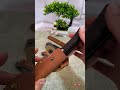 Paring Knife #Meat KnifeKitchen Supplies Pay attention #fruit #knife #viral #youtube #trending