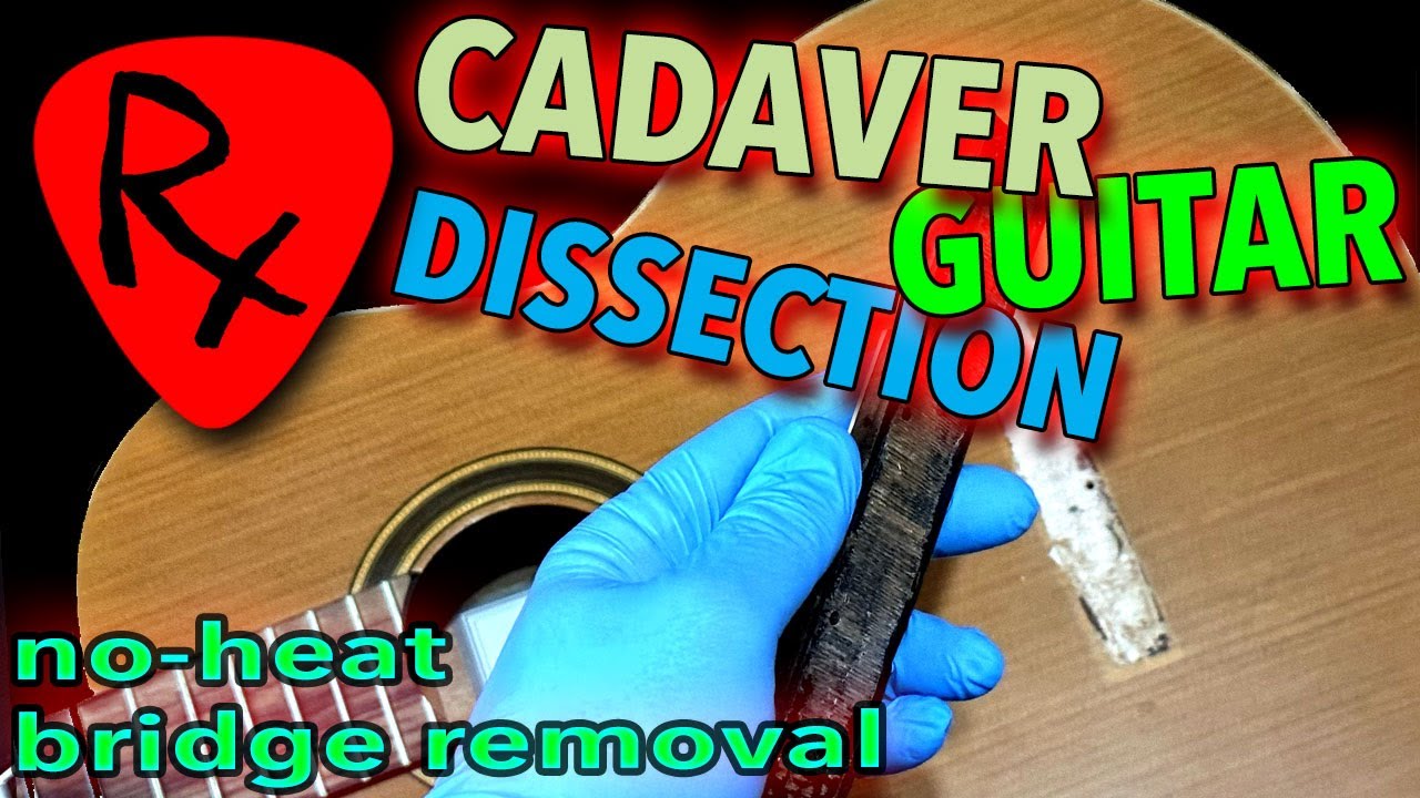 NoHeat Acoustic Guitar Bridge Removal Experiment on a Cadaver Guitar