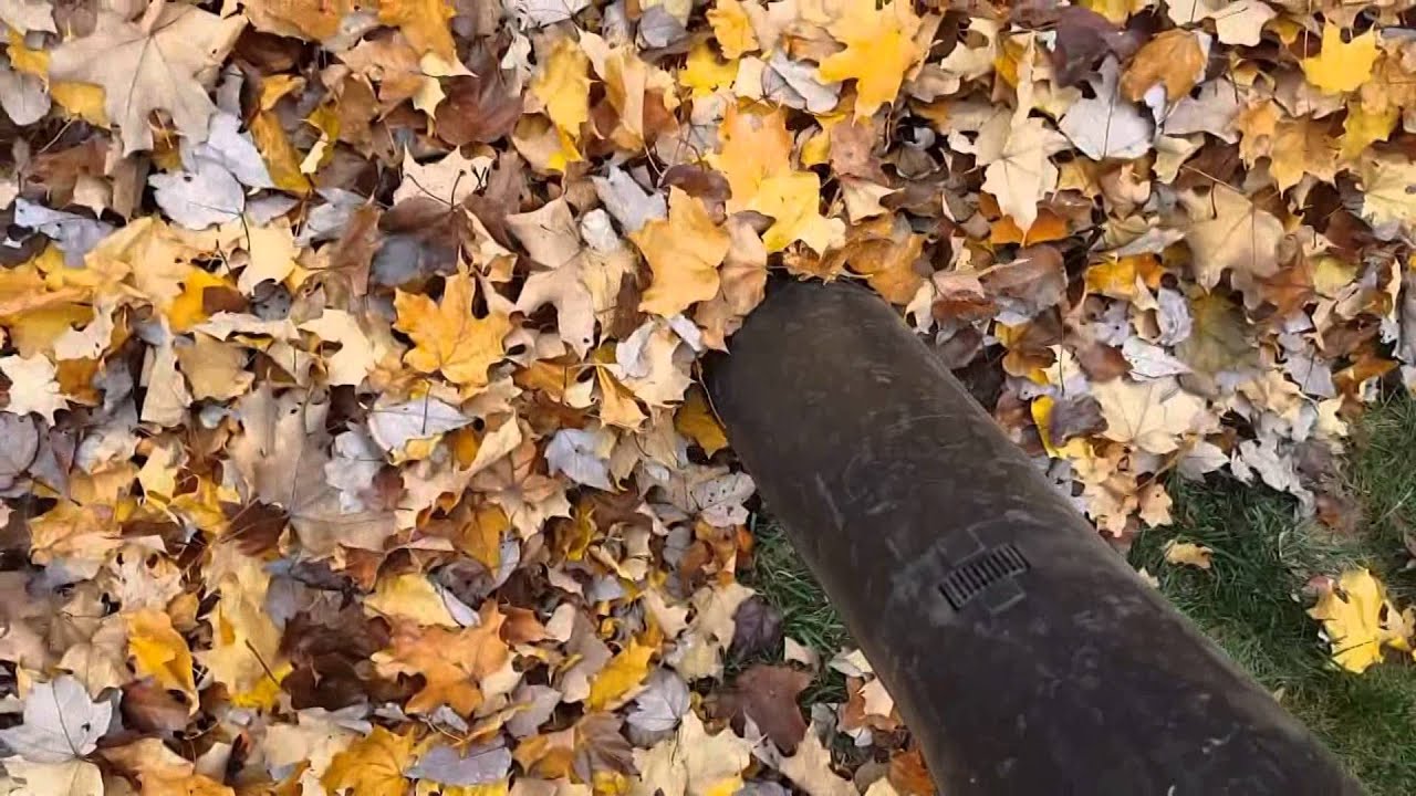 Leaf collection 11 9 15 YouTube