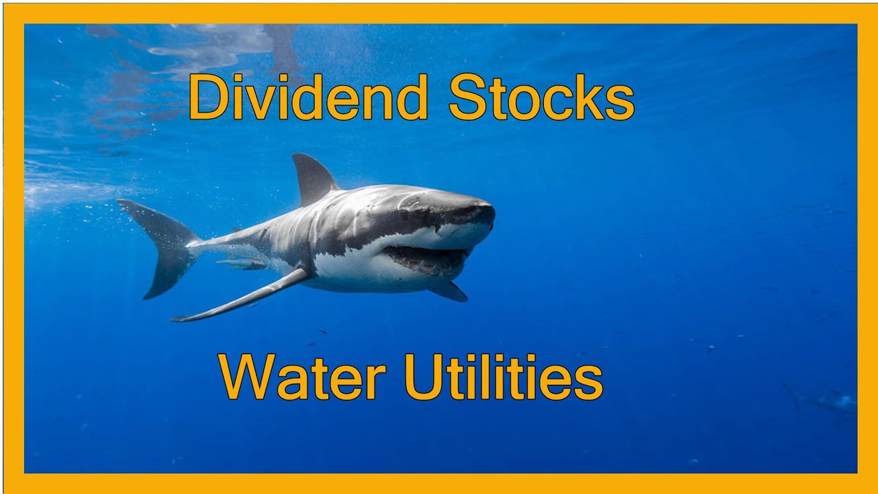 Dividend Stock Investing Water Utilities Essential Utilities vs SJW