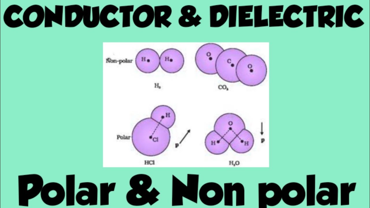 Class 12th physics Behaviour of conductor and dielectric in a Electric ...