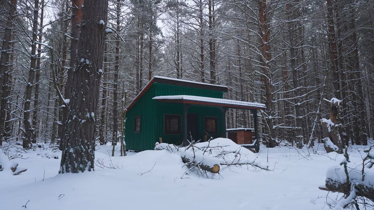 Surviving in the Frozen Wilderness A Deadly Fight Against the Snow