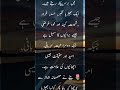 انسان کے اندر دو بھیڑیے 