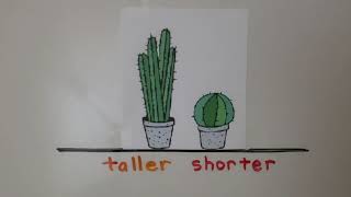 Kindergarten Math 11.2, Compare Heights