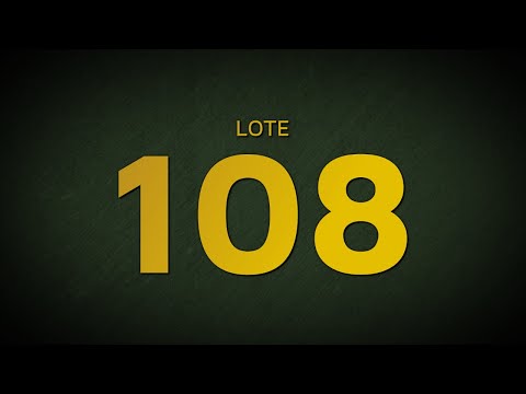 LOTE 108 - CSCN 18110