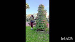 Por Bilbao Vizcaya España