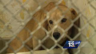 Animal control complaints in Jefferson County