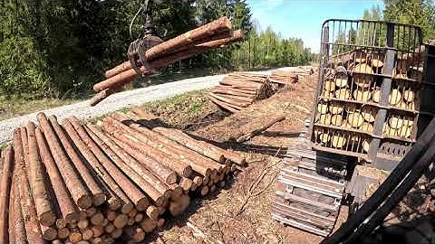 John Deere 1010G Forwarder - Unloading spruce logs (Sped up video)