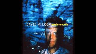 Watch David Wilcox Down Here video