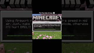 How I Found The Last Mob Of The Raid #minecraft